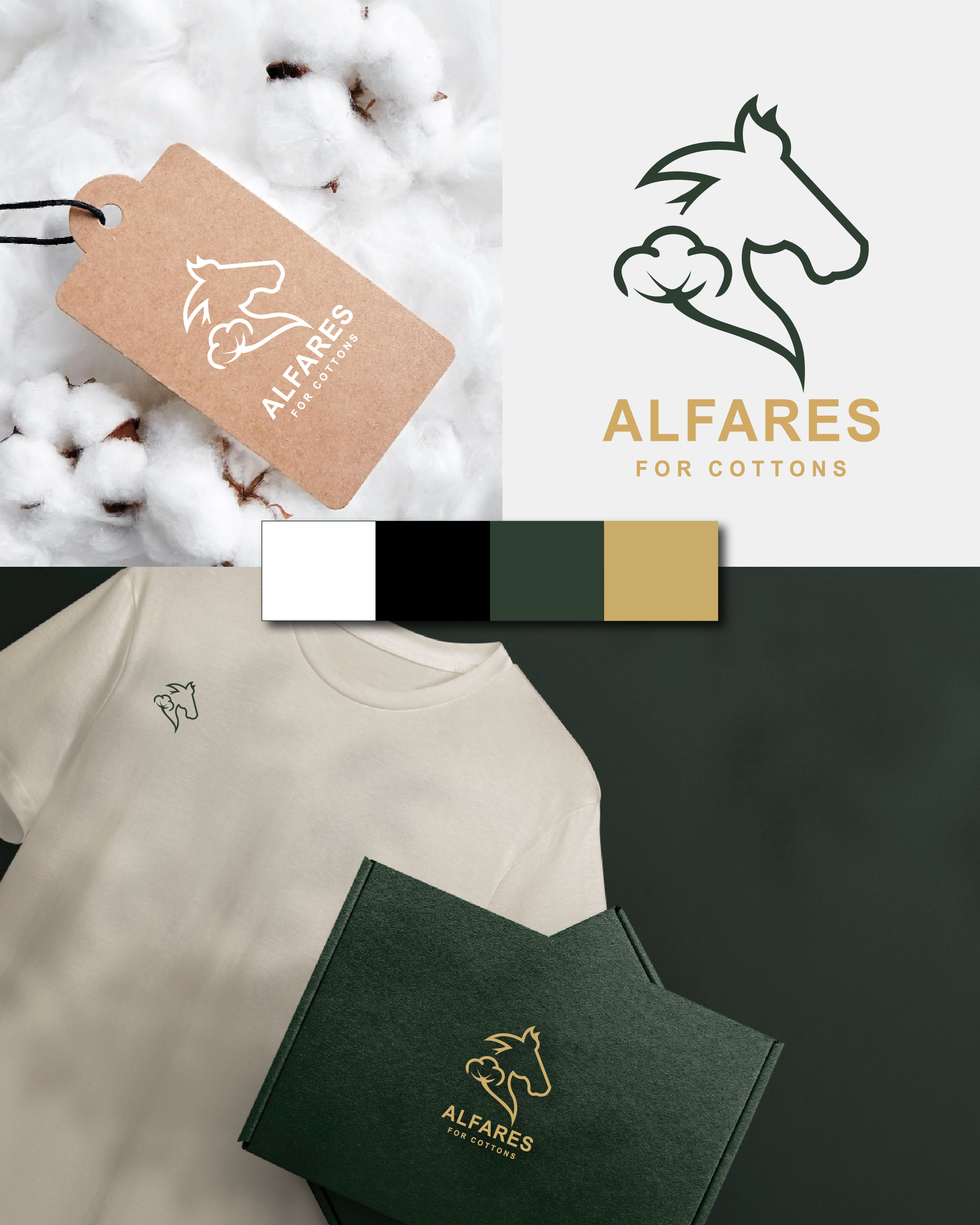 Brand Identity Project 1